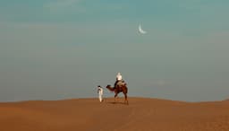 Contact Banner