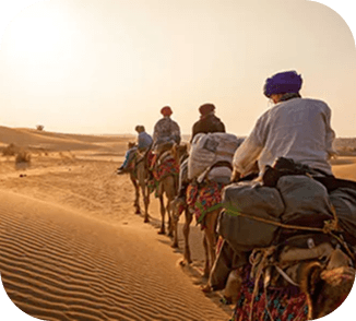 Camel Safari